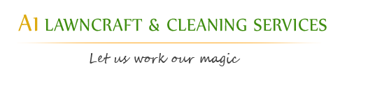 Sydney cleaning service